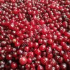 Клюква замороженая