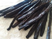 Ваниль бурбон