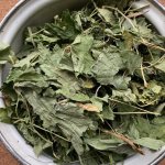 Смородина лист сухой