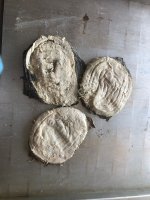 Книжка говяжья солёная прессованная