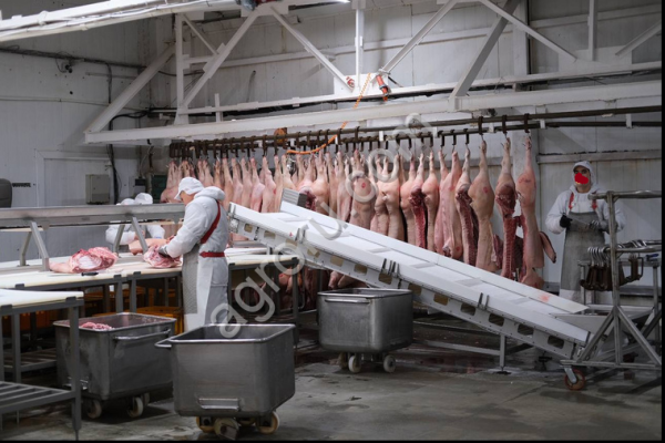 Мясокомбината, Костромская обл.