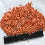 Чечевица экспорт в Иран