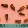 Семена и саженцы Левзеи сафлоровидной или Маральего корня.