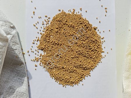 Белая горчица