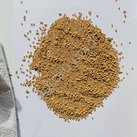 Белая горчица