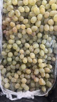 Афганский виноград (ТАЙФИ)