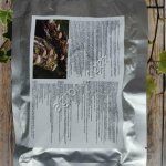 Экстракт Шиитаке, 100 гр,