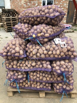Картофель ГАЛА оптом от 20 тонн от производителя.