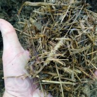 Сенаж однолетних и многолетних трав