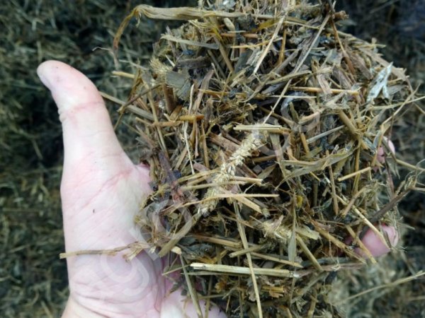 Сенаж однолетних и многолетних трав