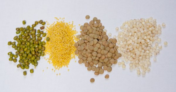 Какие крупы закупают в социальные учреждения