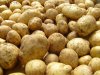 Ученые улучшили возможности хранения картофеля