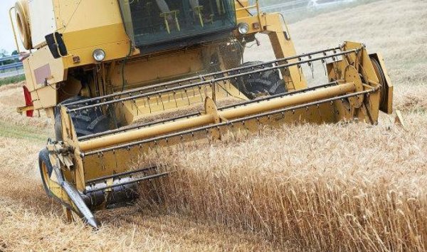 Прогнозы на урожай сбили цены на зерно
