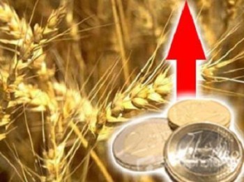 Минсельхоз РФ установил закупочные цены на зерно урожая 2015 г в рамках интервенций