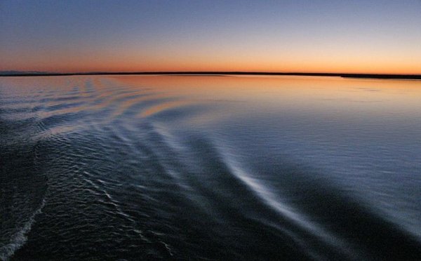 Рыбный конкурс