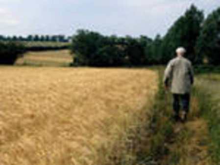 В Адыгее убрано более 200 тыс. га зерновых