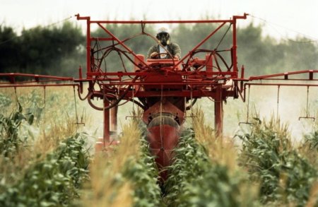 Нарушения при химической прополке посевов