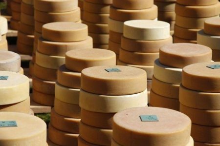 Фальсификат вместо импортозамещения