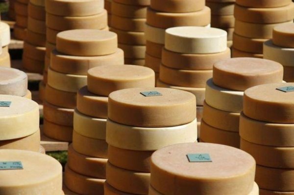 Фальсификат вместо импортозамещения