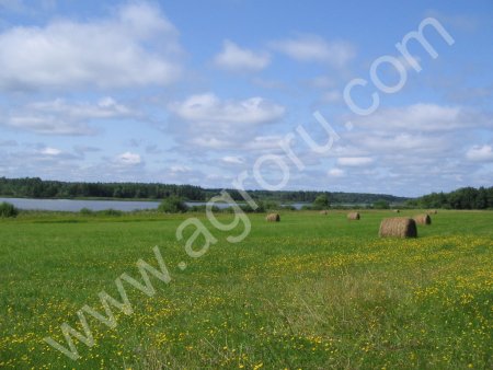 Грузия снижает таможенные пошлины на сельхозпродукцию