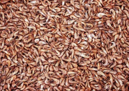 В Лондоне обсудят состояние и перспективы рынка холодноводной креветки