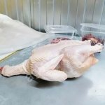 Мясо курицы