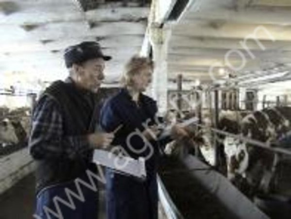 Разведение в «краватках», трансплантация – в мечтах