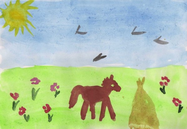 Об итогах областного конкурса Хочу быть садоводом