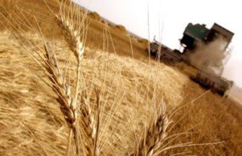 Прогнозы по экспорту снижаются