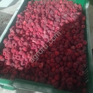Малина замороженная