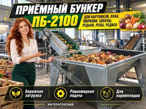 Приёмный бункер ПБ-2100 для картофеля, лука, моркови, свеклы, редьки, репы, редиса