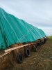 Сено луговое разнотравье в рулонах по 350 кг. Опт и розница
