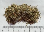 Лемонграсс 4-7 мм. (Лимонная трава)