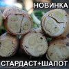 Лук на зелень Новый