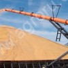 Зерновой транспортер (зерновой конвейер) мобильный ленточный Batco