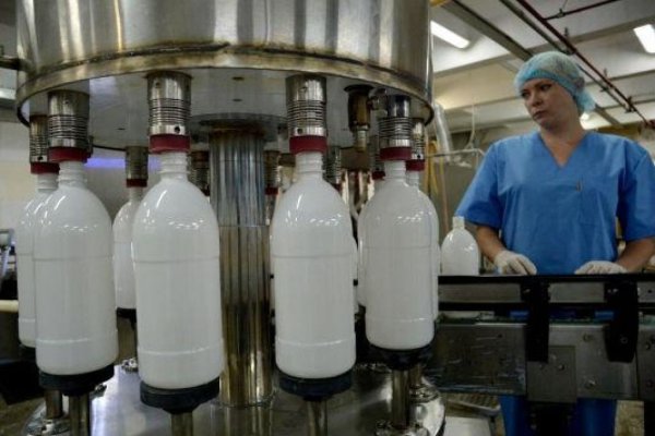 Краткий обзор молочного рынка