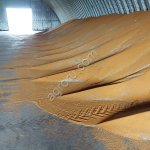 Рыжик от производителя