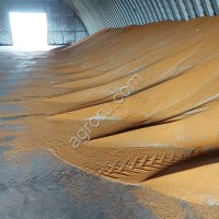Рыжик от производителя