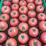 Томат тепличный Розовый