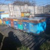Пчелопакеты