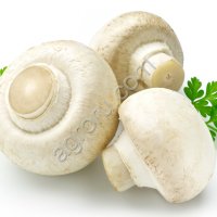 шампиньоны