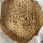 Кедровые орехи