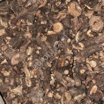 патриния ( безразличка)