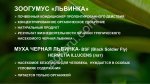 Prozoogumus «Львинка» Почвенный кондиционер пролонгированного действия.