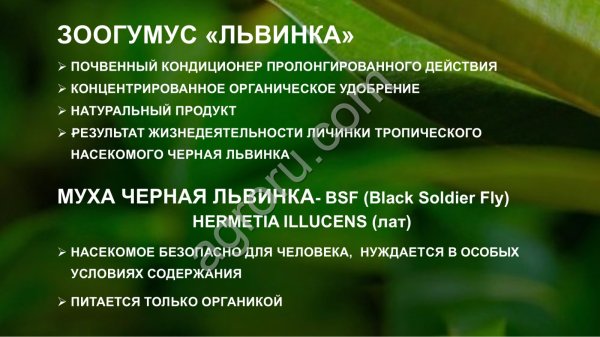 Prozoogumus «Львинка» Почвенный кондиционер пролонгированного действия.