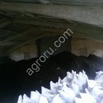 Торф в мешках 50 литров