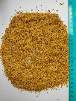 Горчица желтая