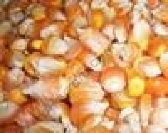 Кукуруза продовольственная в мешках