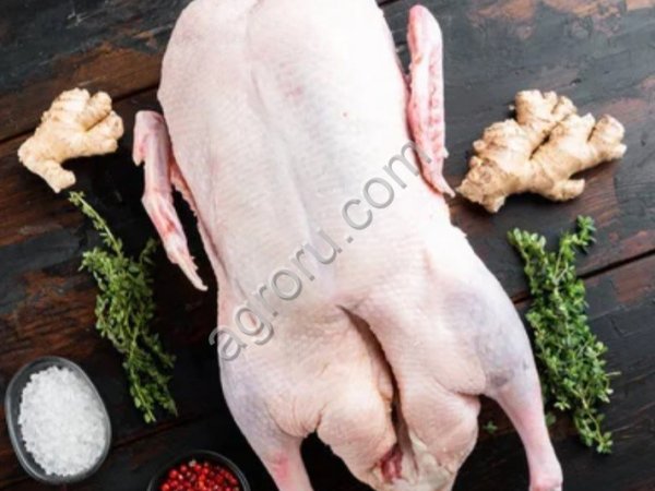 Гуси тушками