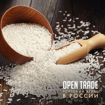 <span>рис</span> на экспорт rice for export